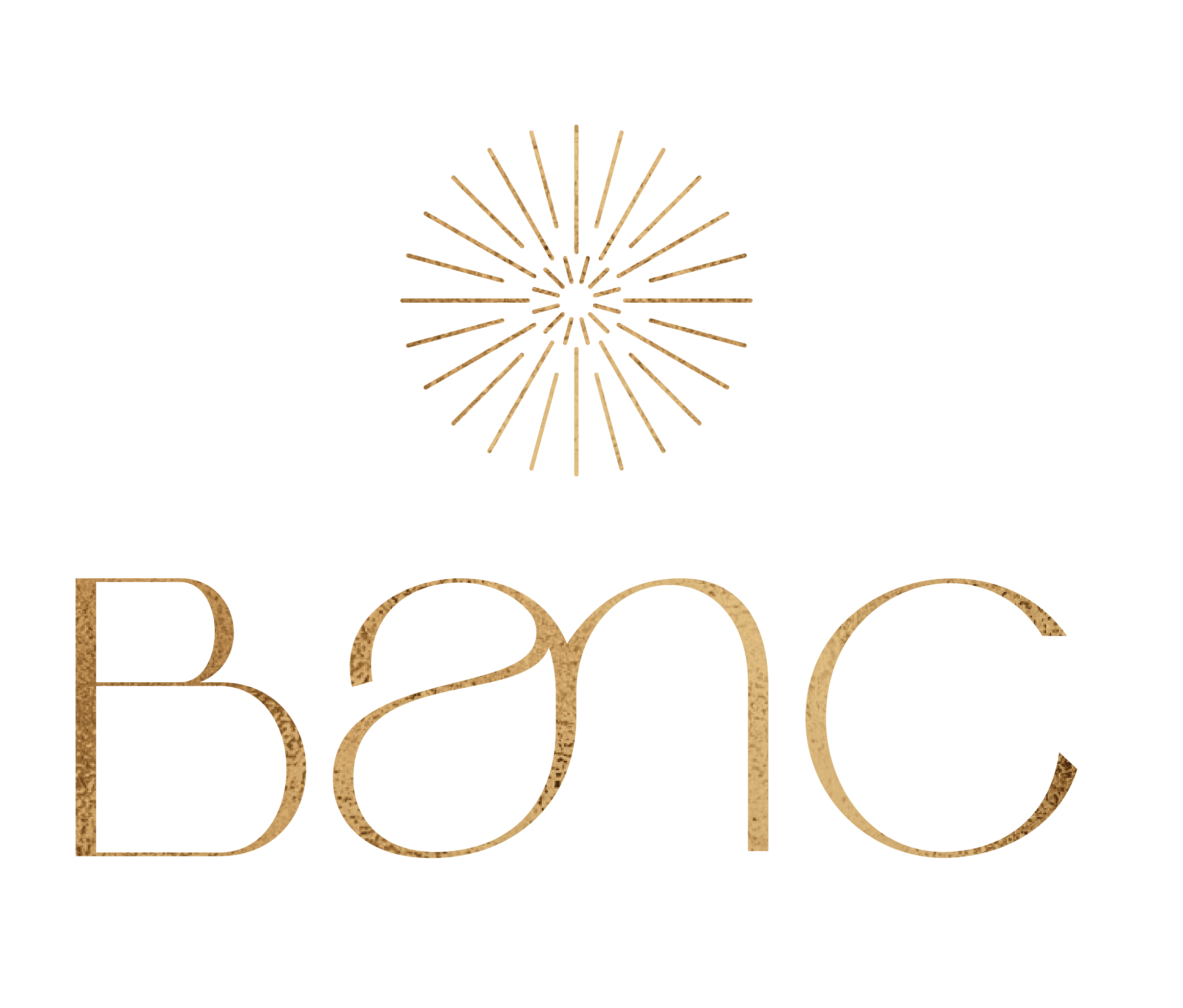 The Banc logo